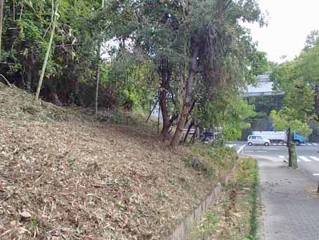 ボンセジュール前歩道脇の歴史10