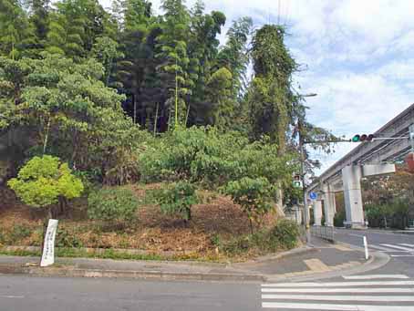 ボンセジュール前歩道脇の歴史11