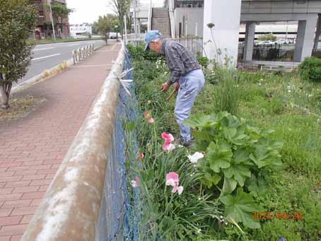 駐輪場南花畑877