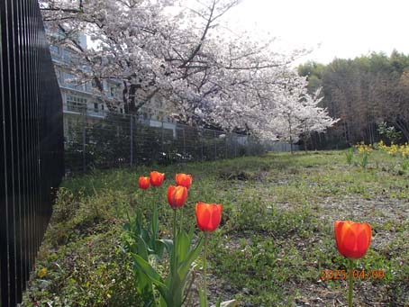 池端花壇599