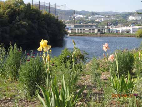 池端花壇603
