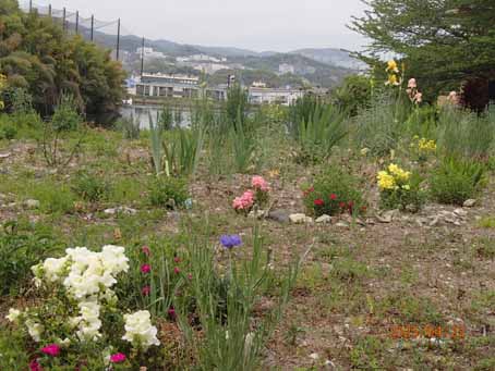 池端花壇605