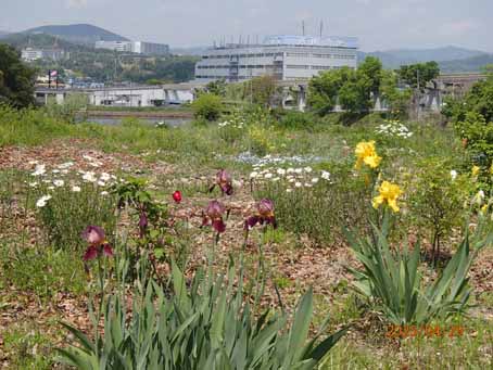 池端花壇606