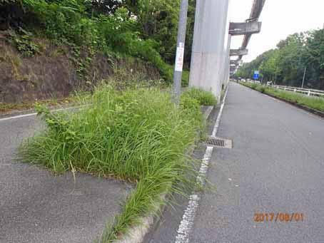 クチナシ枡137