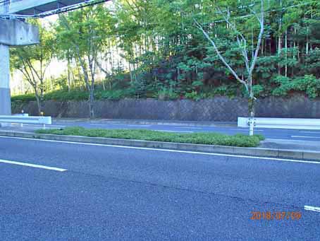 ゆたか橋北分離帯633
