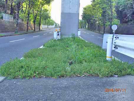 ゆたか橋北分離帯642