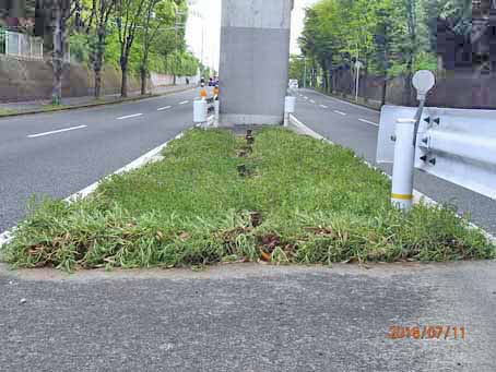ゆたか橋北分離帯643