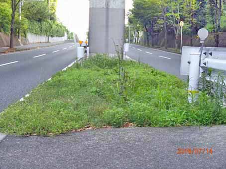 ゆたか橋北分離帯646