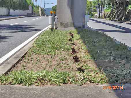ゆたか橋北分離帯647