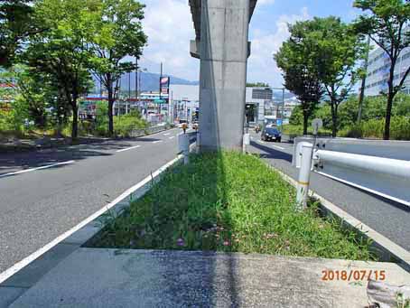 ゆたか橋北分離帯652